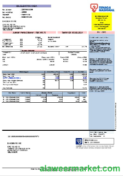 INDIA TENAGA NASIONAL business utility bill Word and PDF template
